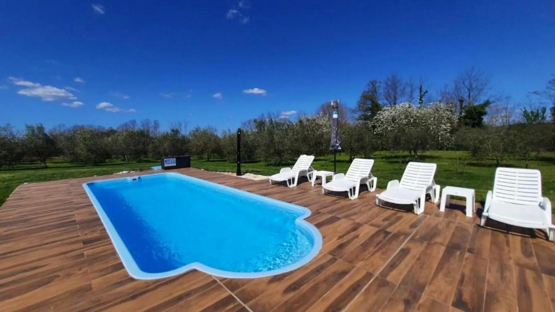 Family Friendly House With A Swimming Pool Radetici, Central Istria - Sredisnja Istra - 22945 Tinjan