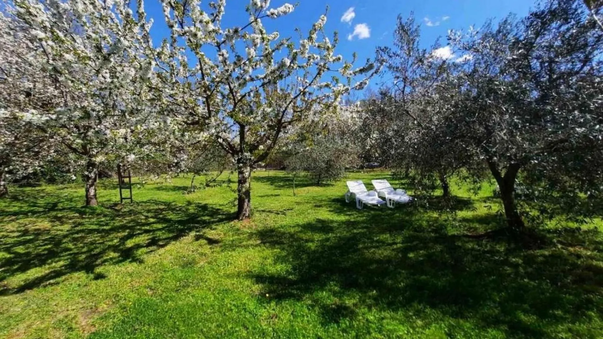 Family Friendly House With A Swimming Pool Radetici, Central Istria - Sredisnja Istra - 22945 Tinjan Croatia